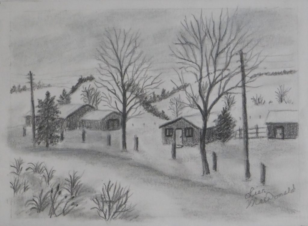 Okanagan Winter